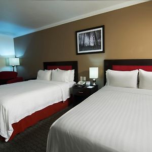 Queen Room Two Queen Beds Non-Smoking
